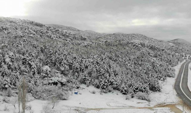 Çam ağaçları kara büründü, ortaya kartpostallık görüntüler çıktı