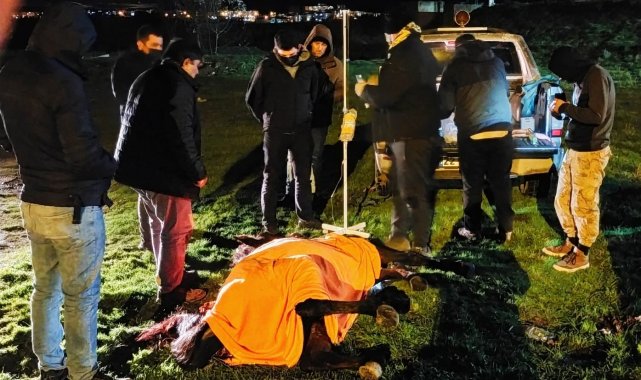 Can çekişen atı ölüme terk etmeyip &#039;insanlık ölmemiş&#039; dedirttiler