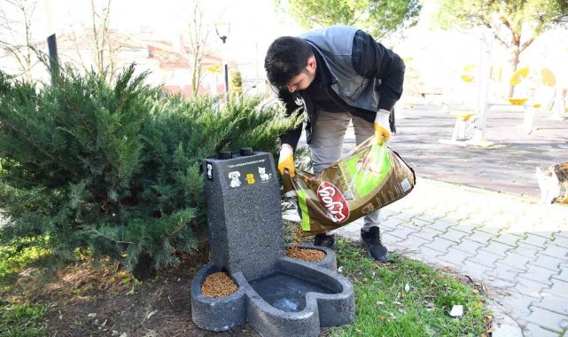 Can dostların mamaları 'patiler' sayesinde ıslanmayacak