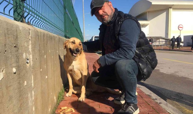 Can dosttan yarasını tedavi eden sağlık çalışanına vefa