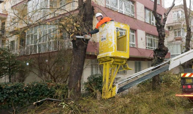 Çankaya'da tehlike oluşturan ağaçlar budanıyor