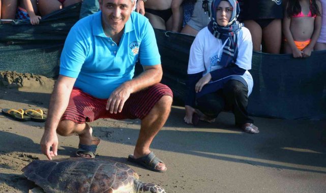 Caretta carettaların neslinin devamı için seferber oldular