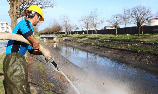 Çark Deresi'nin doğası böyle korunuyor