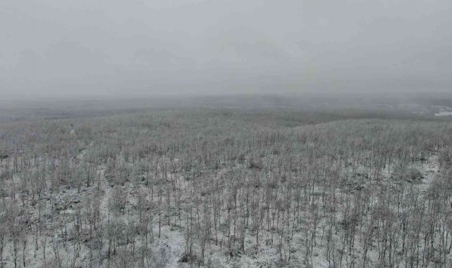 Çatalca&#039;da yoğun kar yağışı