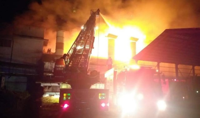 Çay fabrikasında yangın