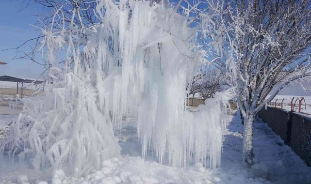 Çeşme borusu patladı söğüt ağacı buz ağaca döndü