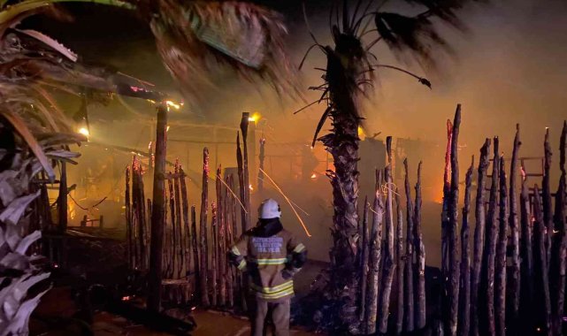 Çeşme'de yıldırım düşmesi sonucu çıkan yangında 400 bin lira zarar var