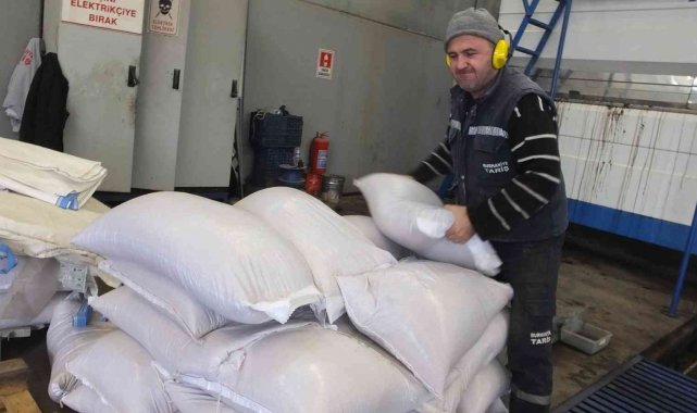 Çevre dostu yakıt zeytin çekirdeği yok satıyor