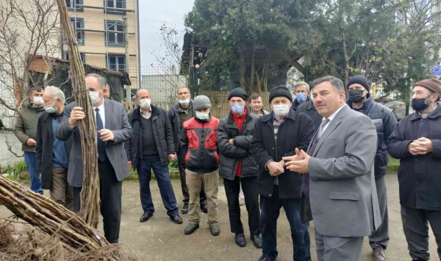 Çiftçilere aşılı Chandler fidanı dağıtıldı
