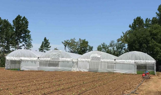 Çiftçilere yüzde 70 hibeli sera naylonu desteği