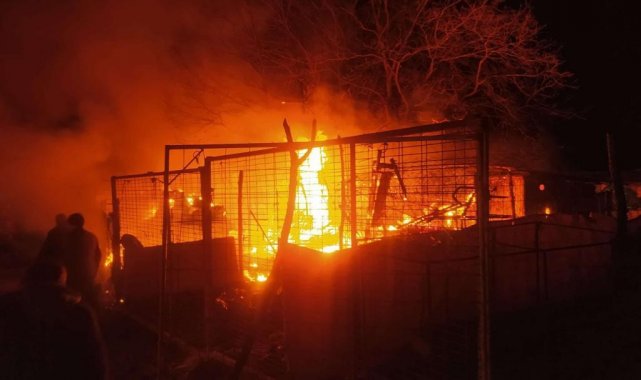 Çiftlik alev alev yandı, 160 küçükbaş hayvan son anda kurtarıldı