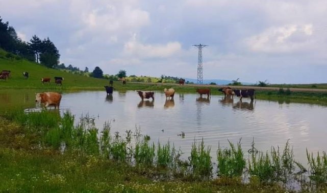 Çıldır değil Sinop: Buz tutan gölde bisiklet sürüp semaver yaptılar