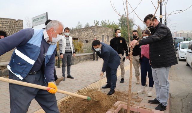 Cizre Kaymakamı Tunç, ağaçlandırma çalışmalarına katıldı