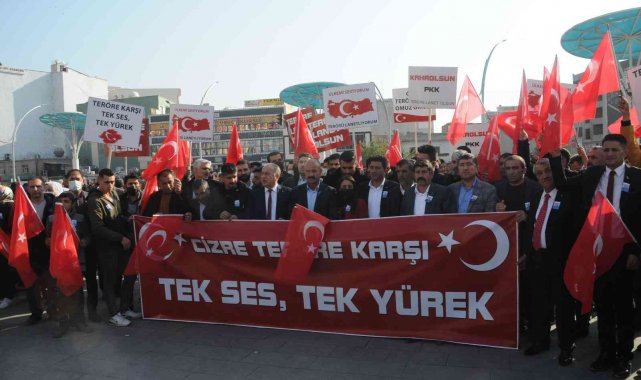 Cizre'de aşiretlerden teröre lanet mitingi