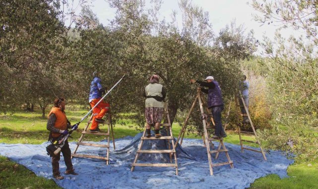 Coğrafi işaretli ürünlere talep hızla artıyor