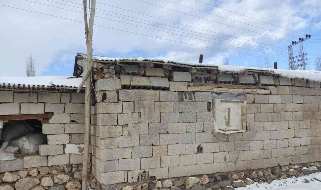 Çöken ahırdaki hayvanlar kurtarıldı