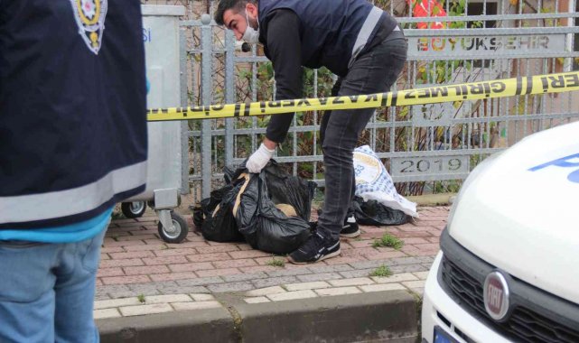 Çöp konteynerinin yanında poşetlenmiş halde telef olmuş hayvanlar bulundu