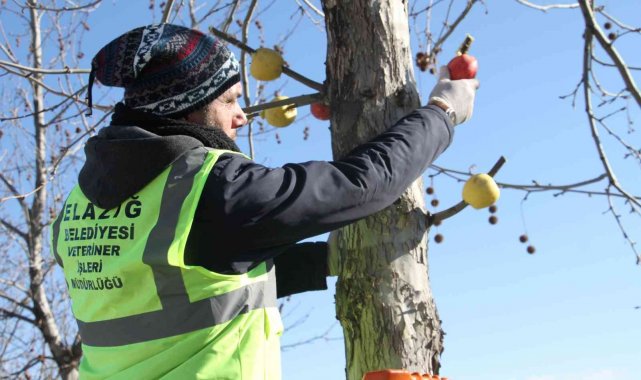 Cumhurbaşkanı Erdoğan işaret etti, Elazığ Belediyesi hemen yerine getirdi