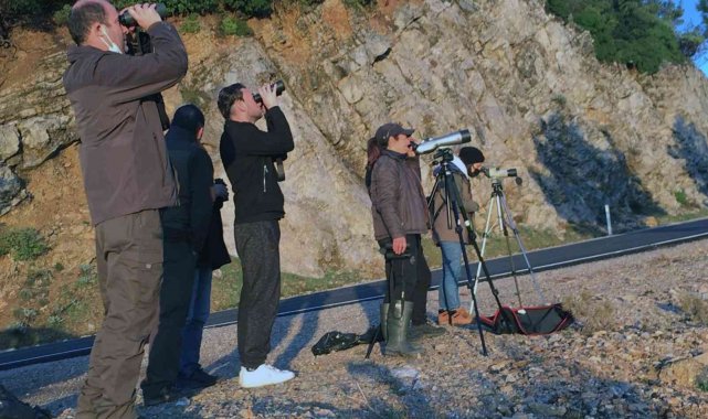 Datça&#039;da yaban keçisi envanteri çalışması