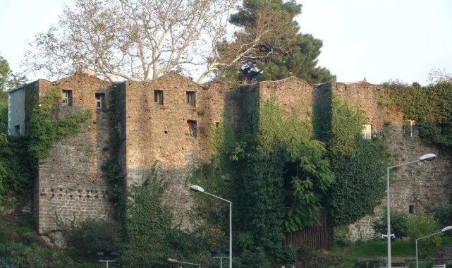 Dedelerinden kalan kalenin kendilerine devrini isteyecekler