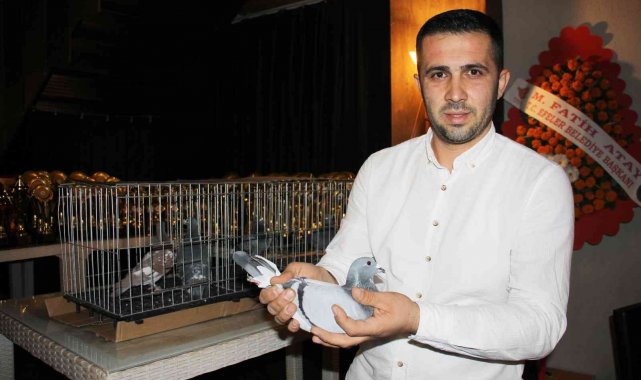 Dereceye giren güvercin sahipleri kupalarını aldı