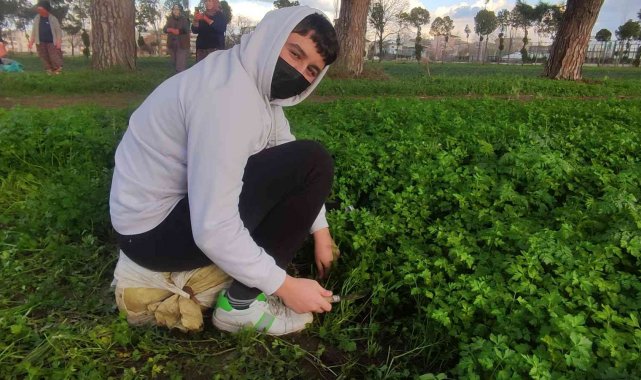 Derslerini tarlada yapıp üstüne para kazanıyorlar