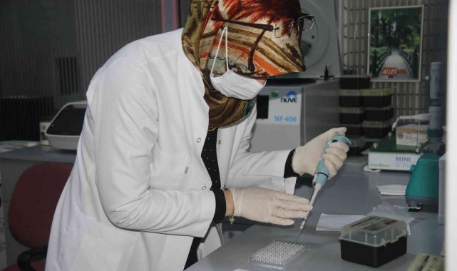 Dicle Üniversitesi pandemiye rağmen yılda 25 kemik iliği nakli gerçekleştirdi