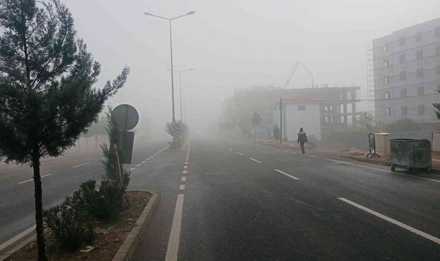 Dicle'de dün geceden beri görünen sis, öğle saatlerine kadar etkisini sürdürdü