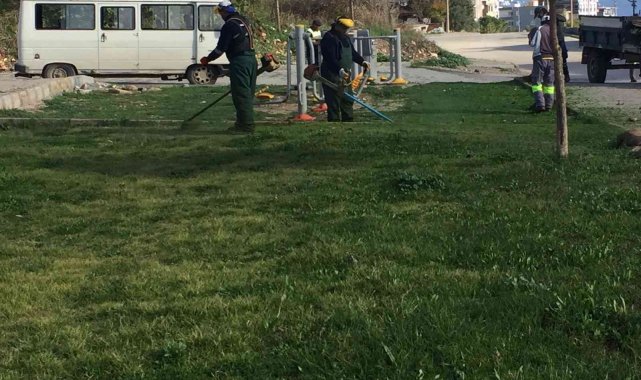 Didim'de yeşil alanların bakımı sürüyor