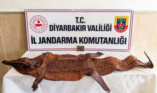 Diyarbakır&#039;da 2 milyon dolar karşılığında satılmaya çalışılan tarihi eser yakalandı