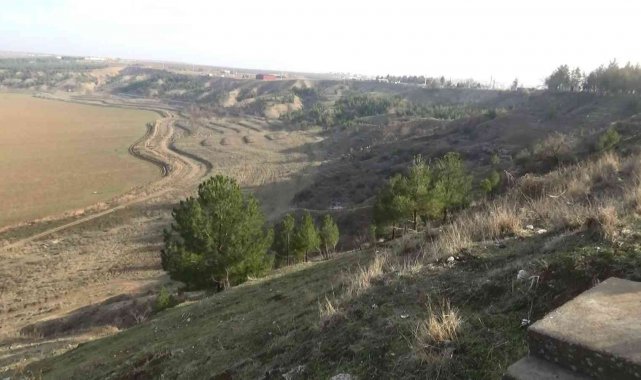 Diyarbakır&#039;da Devlet Bahçeli Hatıra Ormanı&#039;nda şehitlerin adını taşıyan 10 bin fidan dikilecek