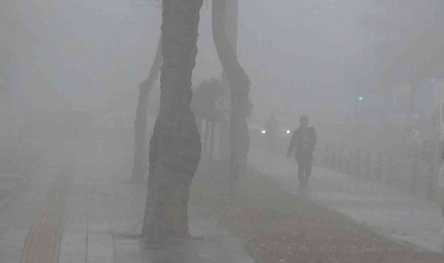 Diyarbakır'da sis hayatı olumsuz etkiledi