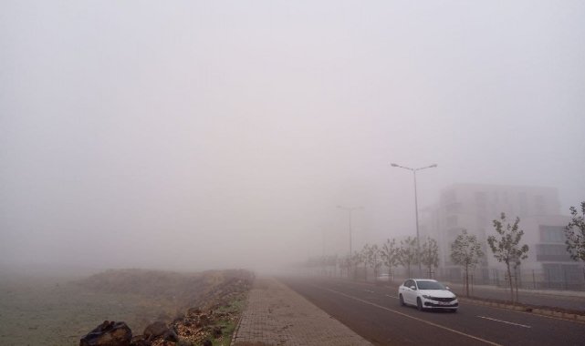 Diyarbakır'da sis nedeniyle bazı uçak seferleri iptal edildi