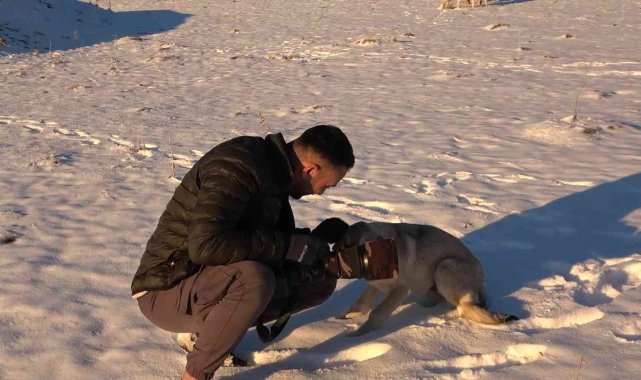 Doğa fotoğrafçısı Vedat Atlı'dan yaban hayatı için çağrı
