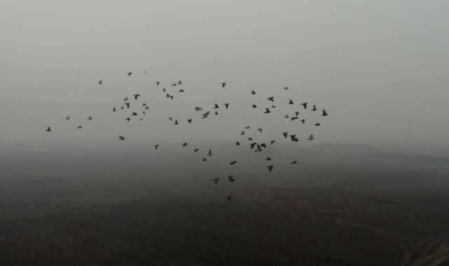 Doğunun Çukurova&#039;sı soğuk hava ve sise teslim oldu