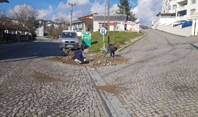 Düzce'de şehrin dört bir yanında çalışma sürüyor