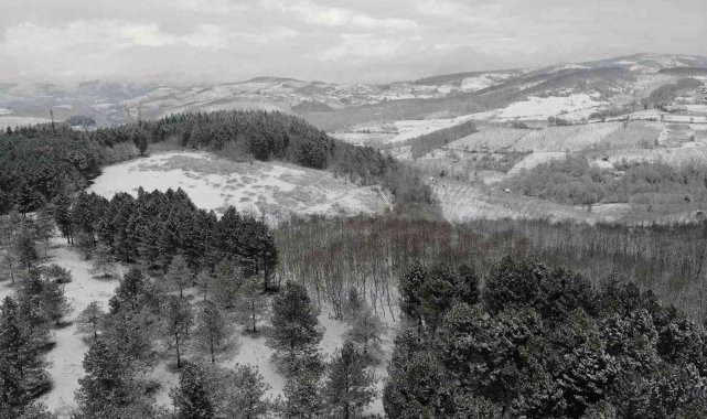 Düzce'nin kar manzarası mest etti