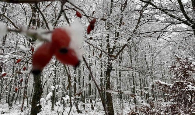 Düzce'nin yüksek kesimlerinde kartpostallık manzaralar