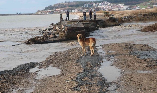 Edirne felaketi yaşıyor, sel sularına dayanamayan köprü yıkıldı