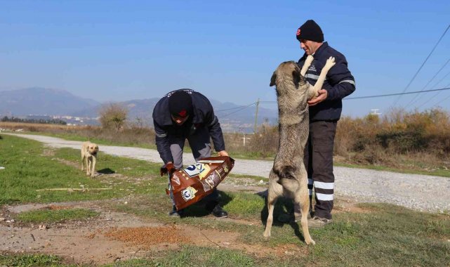 Efeler Belediyesi can dostları unutmuyor