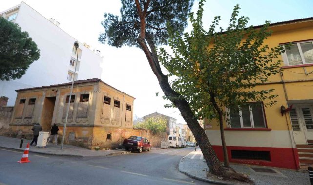 Efeler Belediyesi can ve mal güvenliğini tehdit eden ağaçlarla ilgili çalışma başlattı