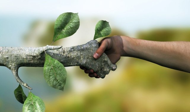 EGİAD Başkanı Avni Yelkenbiçer&#039;den &#039;Yeşil Kuğu&#039; vurgusu