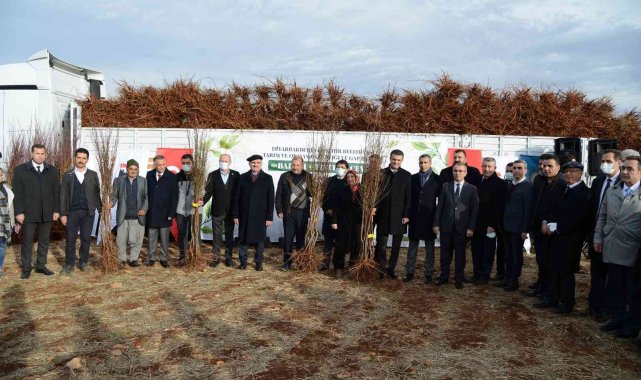 Eğil'de çiftçilere 180 bin badem, fıstık ve ceviz fidanı dağıtıldı