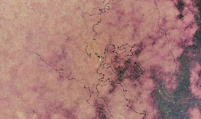 Eğrelti otuyla kızıla bürünen Kızılırmak Deltası'ndan eşsiz görüntüler