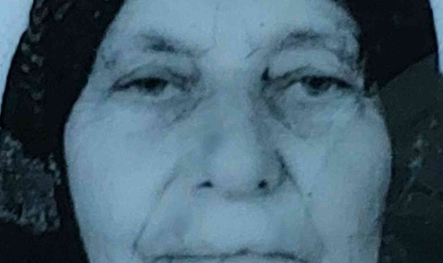 Ekmek aracının çarptığı yaşlı kadın hayatını kaybetti