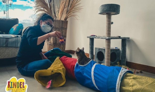 Ekvador'da ilk kedi okulu