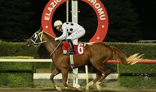 Elazığ'a 50 yarış günü