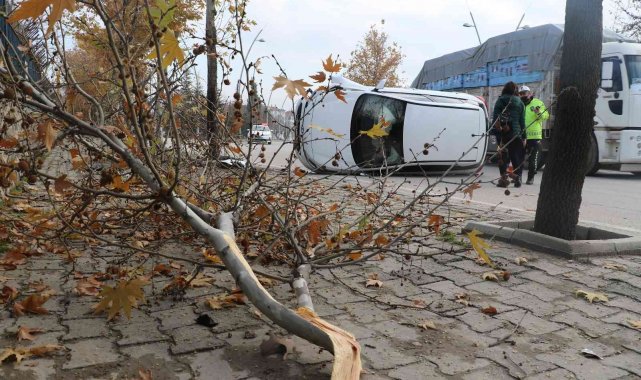 Elazığ'da ağaca çarpan otomobil yan yattı: 1 yaralı