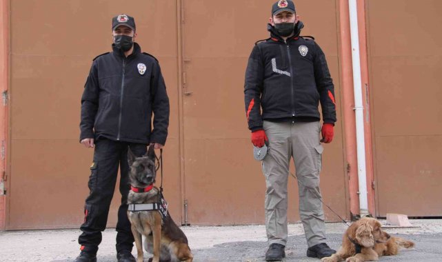 Elazığ'da uyuşturucu tacirlerinin korkulu rüyaları: Alex ve Nina