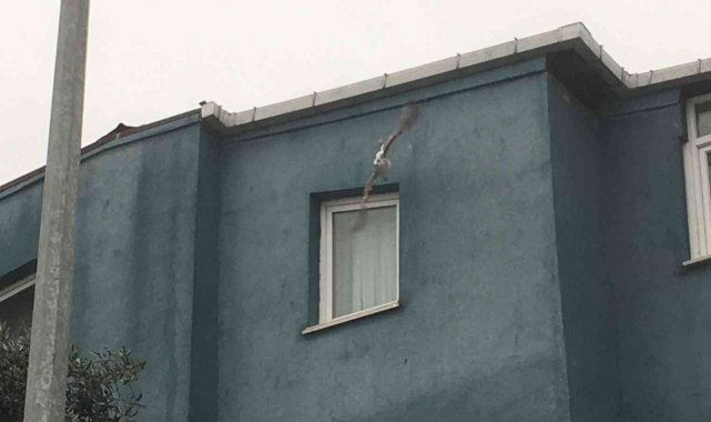 Elektrik tellerine takılan martı kurtarıldı